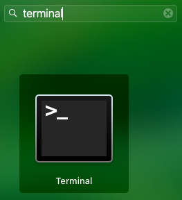 Terminal in MacOS