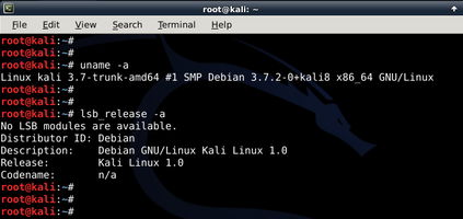 Kali Linux CLI